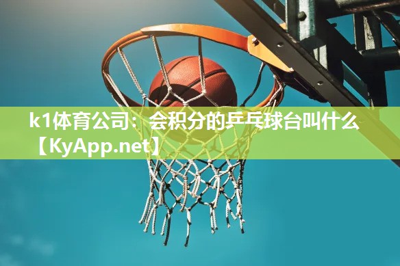 会积分的乒乓球台叫什么